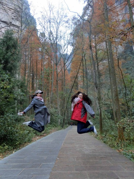 张家界国家森林公园天门山两日游,张家界天门山自由行攻略一日游