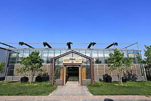 番茄联合国庄园,番茄联合国