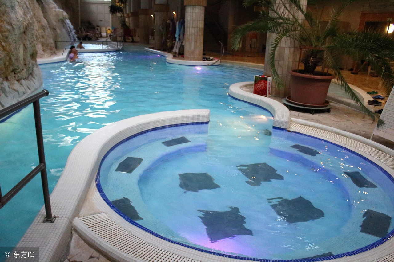 戴隐形眼镜眼睛注意事项,框架眼镜换隐形眼镜的注意事项