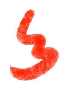 sai鏂版墜鍏ラ棬缁樼敾鏁欑▼,sai缁樼敾杞欢纭欢瑕佹眰