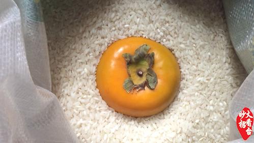 柿子太涩口了怎么办,柿子涩口怎么缓解嘴巴涩