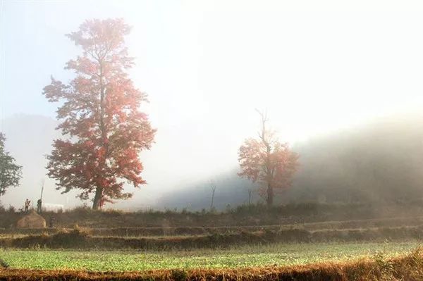 秋天的安徽,这才是安徽秋天该有的样子