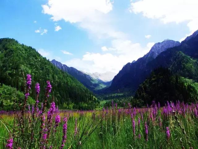 大连到四川自驾游路线经典攻略,大连到长白山自驾游攻略沿途景点