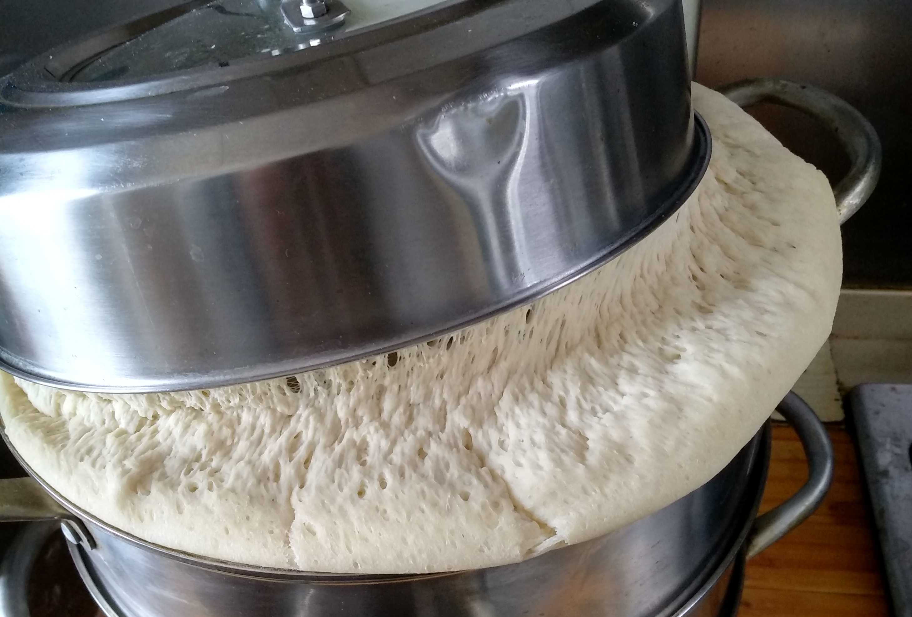 朋友在馒头铺打电话问，发面发过了怎么办