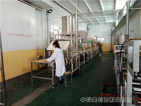 腐竹机厂家直销新型腐竹油皮机,全自动腐竹油皮生产设备厂家