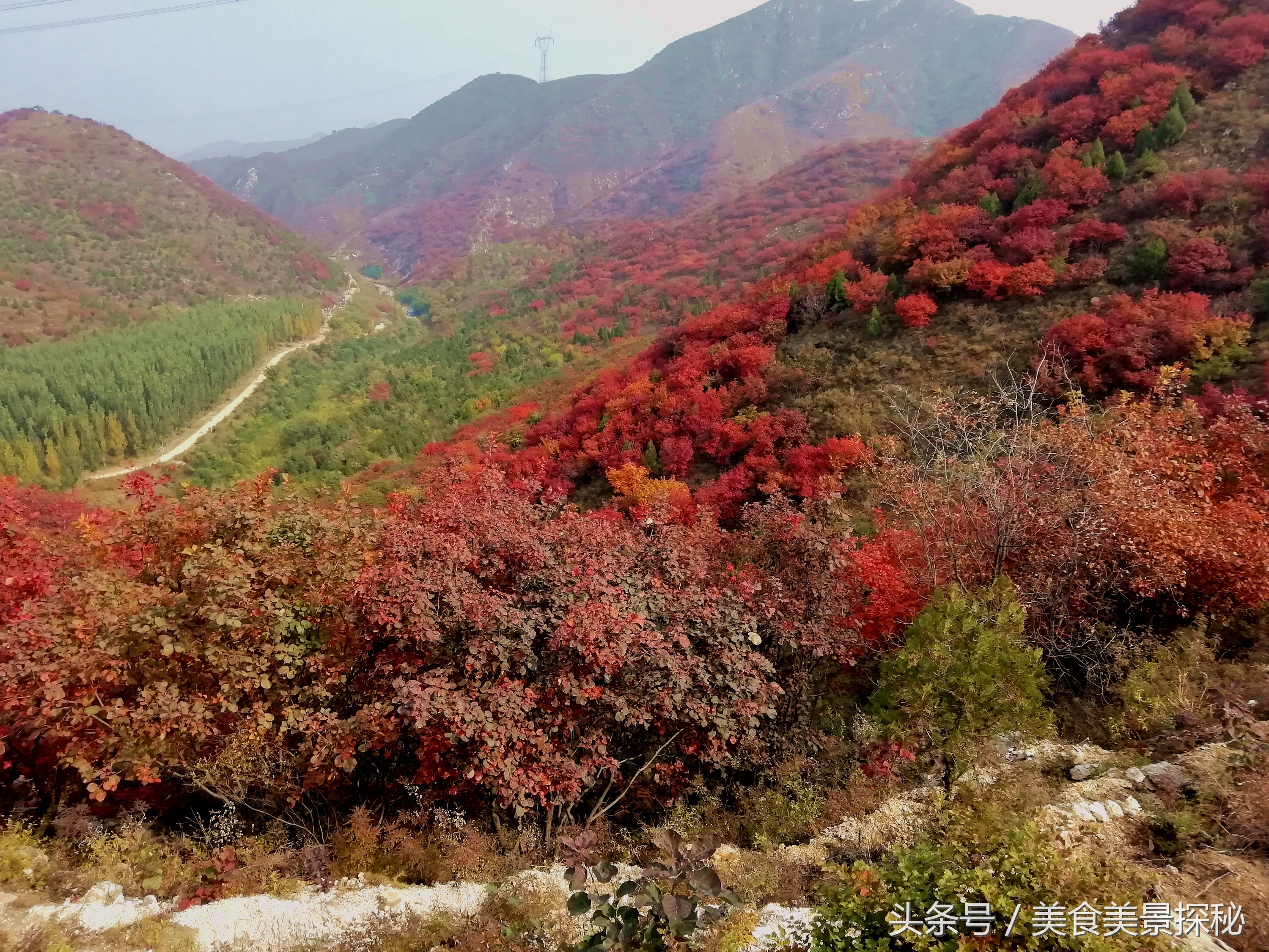 赏红叶何须去香山,赏红叶除了香山还能去哪