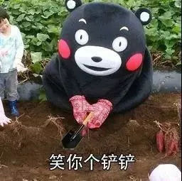 四种方言你能听懂几种,十种最难完整的方言东北话