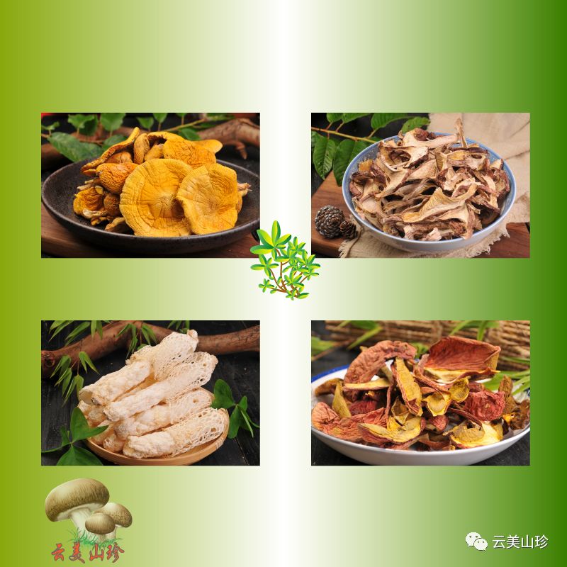 四季山珍专营云南野生菌,云南山珍野菌一手货源
