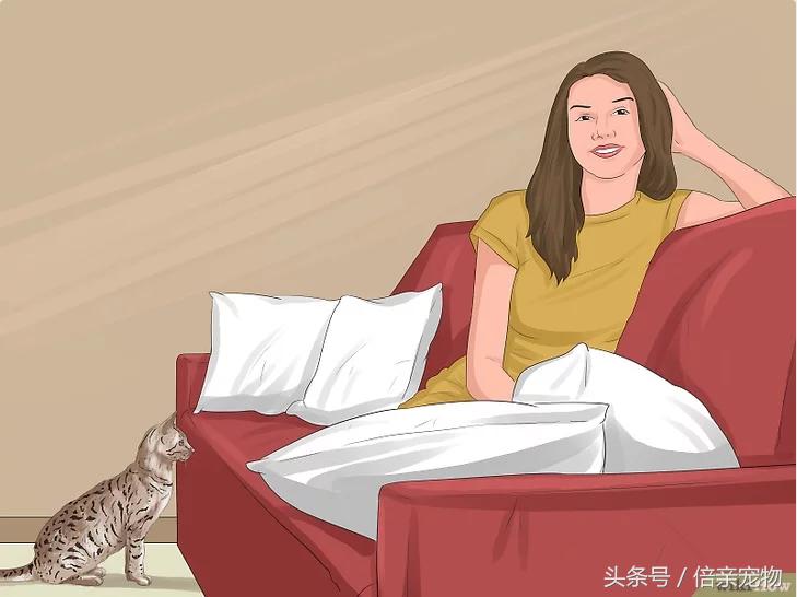 如何让猫咪爱上你,如何让猫咪喜欢你粘着你