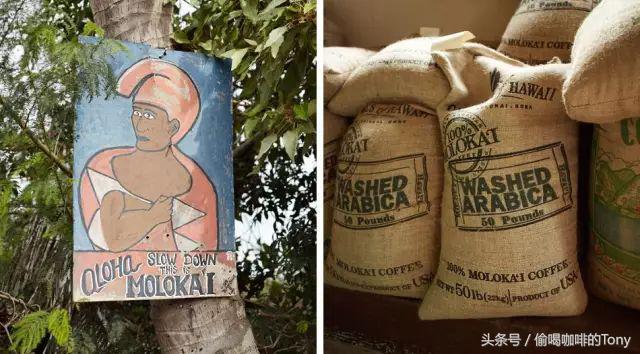 2020世界最贵的十大咖啡排行榜,最好喝的名贵咖啡