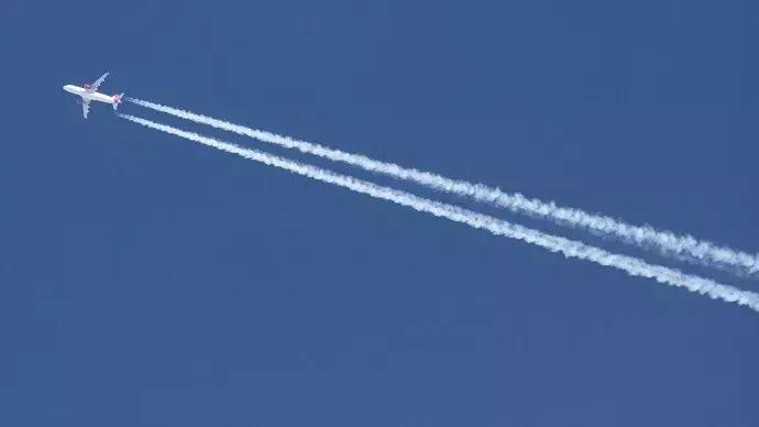 美国人智商欠费，川普带头追捧这个网红，结果全被骗