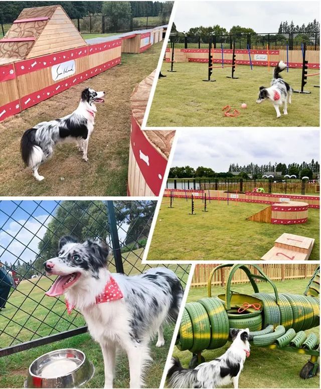 探秘2500亩魔都后花园!欧式别墅独栋、宠物乐园、动物农场高尔夫