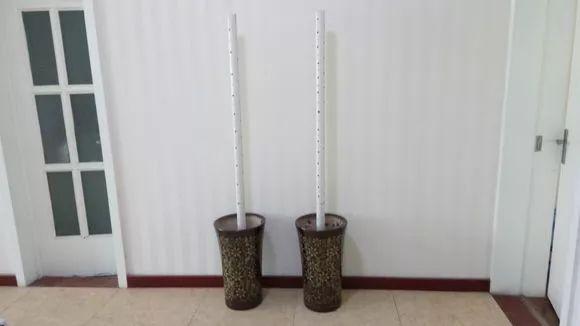 绿萝叶子如何变大,小绿萝养成大绿萝效果