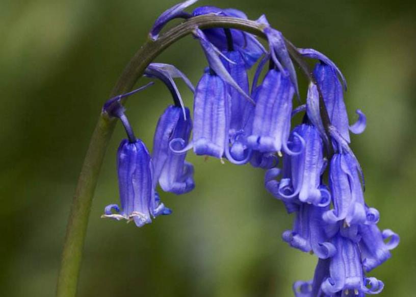 没有脾气才是一个人最好的修养,对于没脾气的人是怎么样的看法