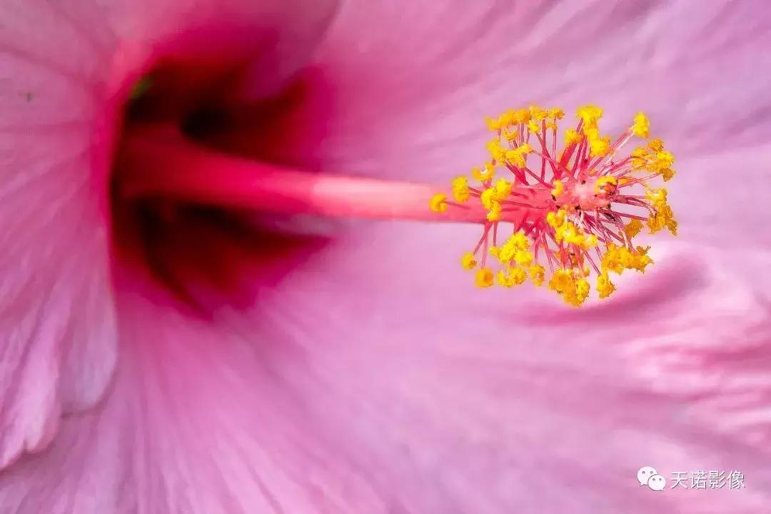 徕卡90280长焦镜头,徕卡sl902