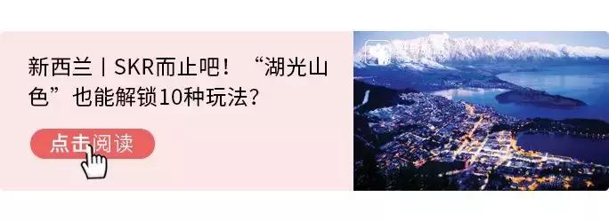 文末福利丨左手双11右手黑五，踩点扫货，这是钱包被掏空的feel~