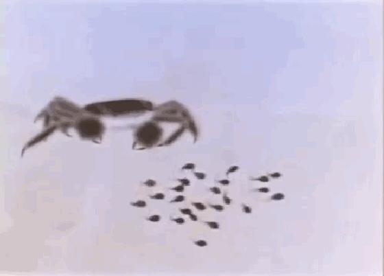 国内动画的巅峰之作水墨风,中国经典水墨动画片200部大合集