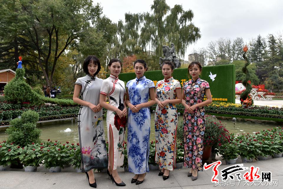 天水麦积菊展,金秋菊展日记