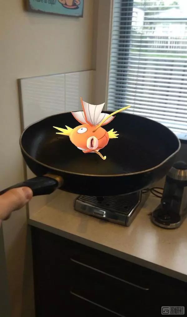 现实世界里有各种各样的宝可梦,真实世界的宝可梦长什么样