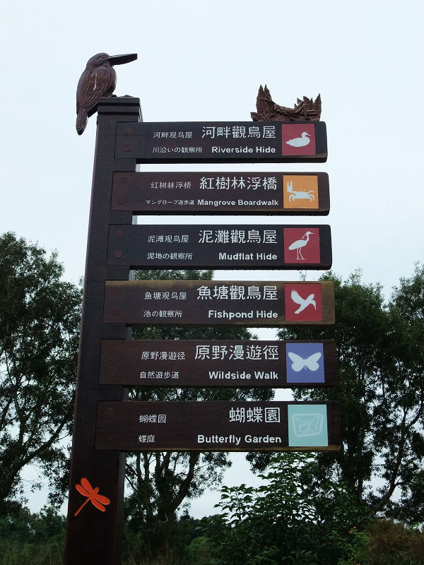 穷驴旅游,港囧游香港