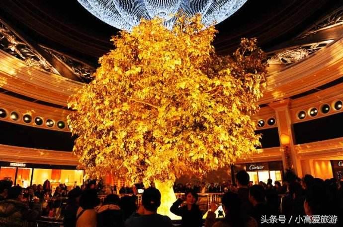 香港澳门七天自助游最佳路线,香港澳门七日旅游线路