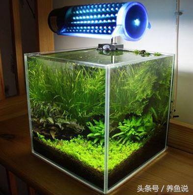 超白玻璃鱼缸和普通玻璃的区别,超白玻璃鱼缸和普通鱼缸的区别