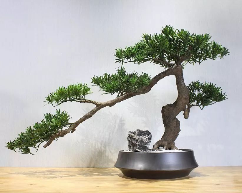 仿真花贵还是真花贵,仿真花贵还是鲜花贵