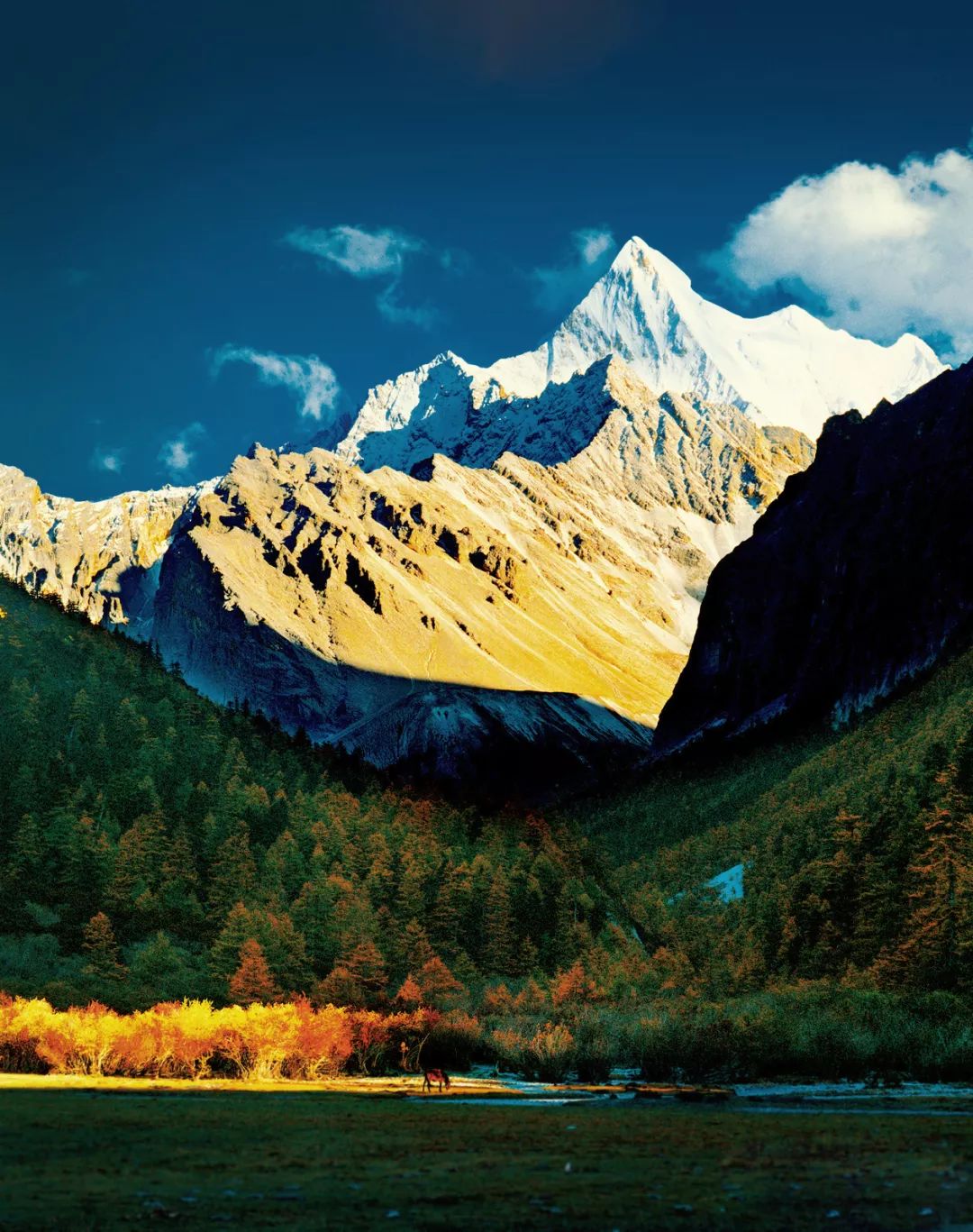 稻城亚丁旅游攻略 (西藏稻城亚丁美景)