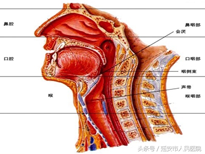 治吞咽困难哪个康复医院做的最好,吞咽障碍的康复评定及治疗