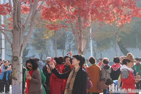 哈尔滨高校打卡,哈尔滨的风向标著名打卡地