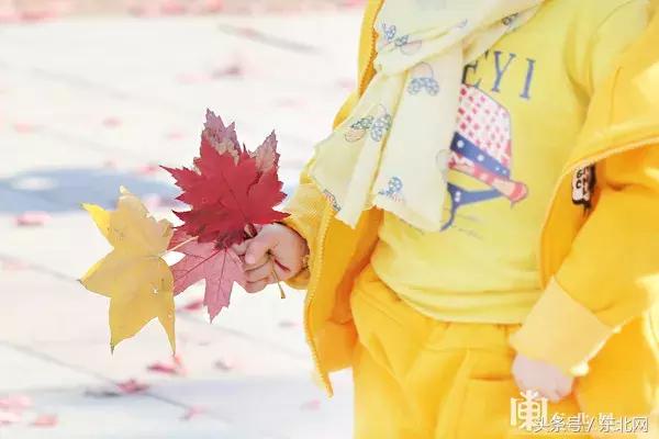 哈尔滨高校打卡,哈尔滨的风向标著名打卡地