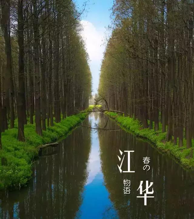 报名开启｜越过江华山丘，至美方休！