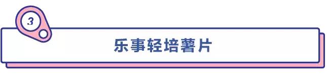什么零食越吃越瘦还便宜,低卡零食全系列