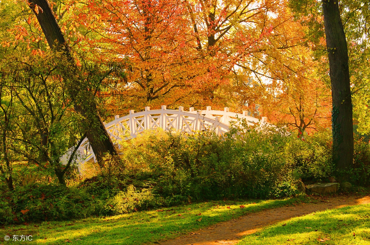 凉了一半的婚姻，因为借给男神五万元钱，又热了起来
