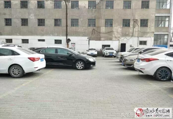 嘉峪关公益网今日新闻,嘉峪关公益网最新消息