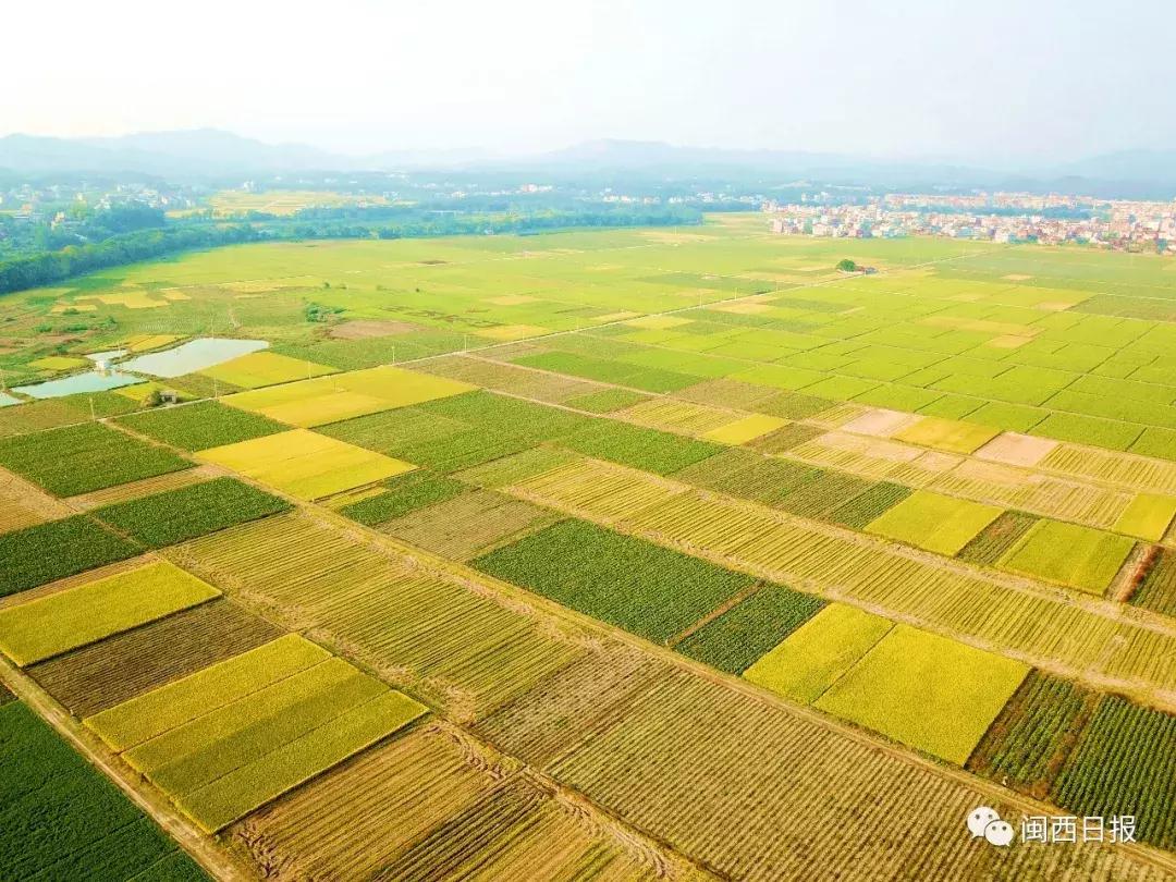 龙岩这个“生态粮仓”美翻了，还是中科院研究基地！