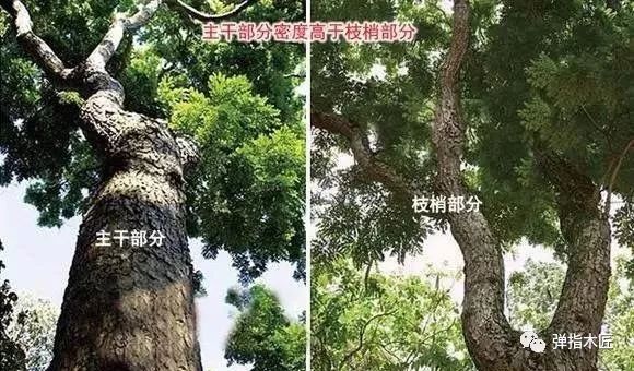 真正的小叶紫檀手串在哪里买,现在小叶紫檀手串为什么便宜