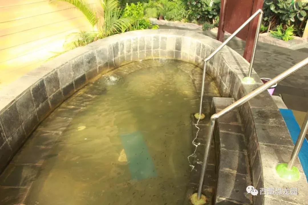 恐龙园温泉馆,西部恐龙水乐园温泉