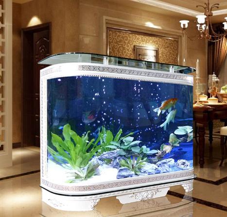 进门有鱼缸的风水好不好,装修进门见鱼缸好不好