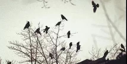 北太平庄简介,北太平庄是什么