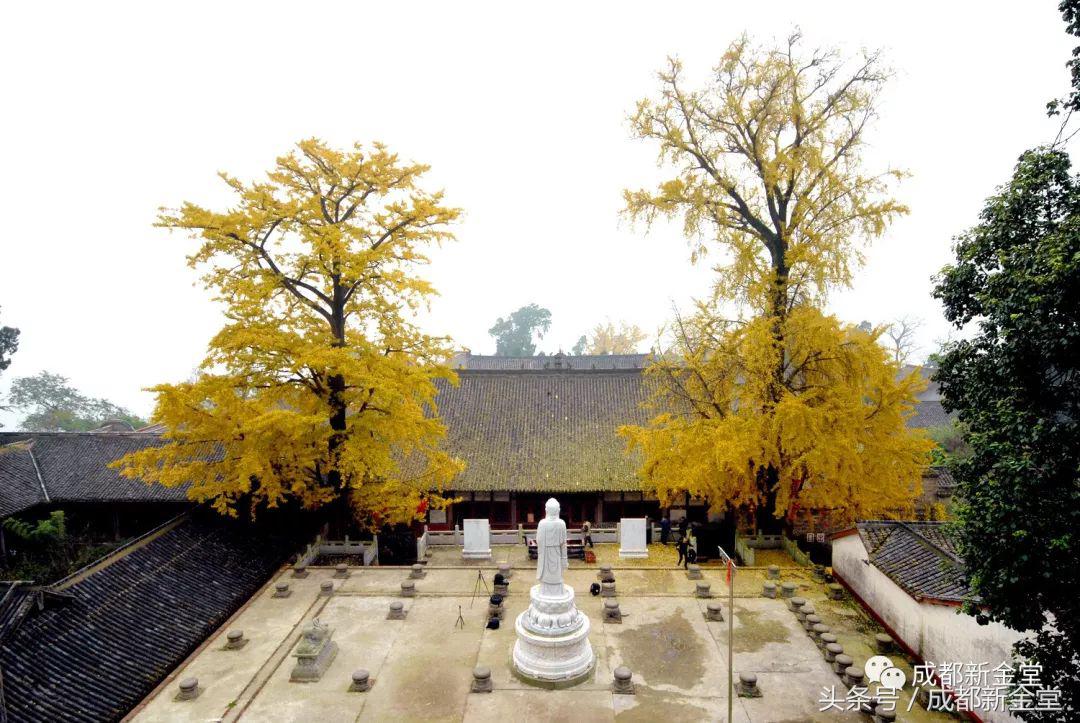 金堂秋色,秋天金堂十大必去景点