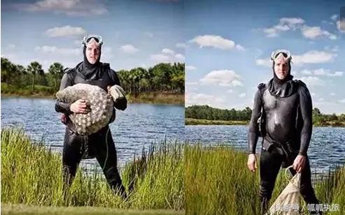 捡高尔夫球,捡了很多高尔夫球