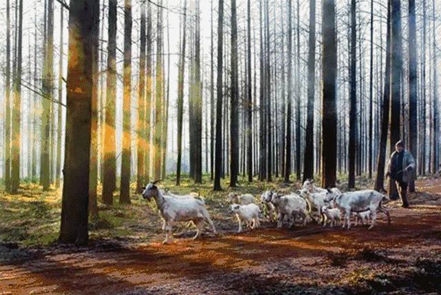 上海最新二手房房价是涨还是跌,上海二手房房价2019年降多少