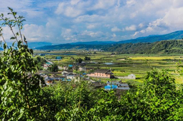 鑽疯姳鍙ら晣鑵惧啿,鑵惧啿鑽疯姳鍙ら晣