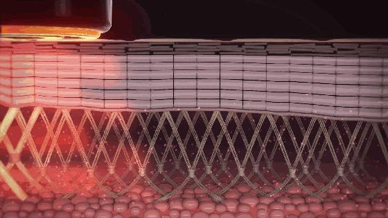 30岁女人怎么快速成家,30岁女人怎样开始新事业