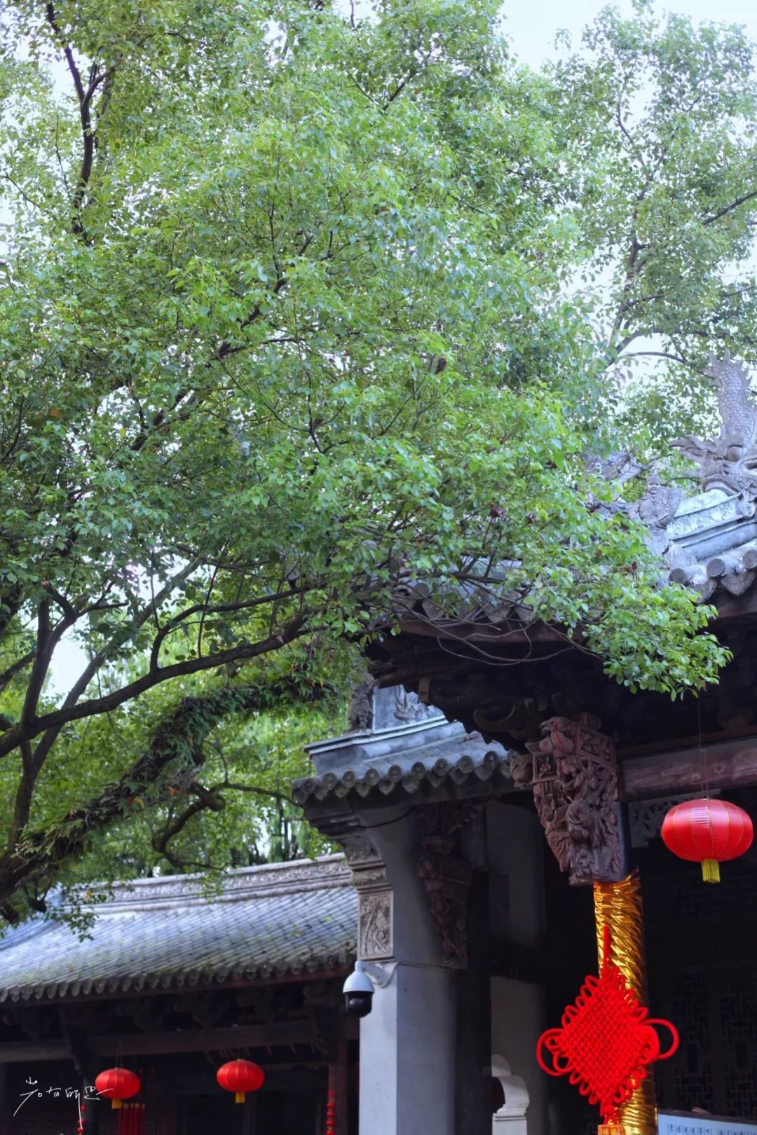 没有人来人往的城市,没有人山人海的地方