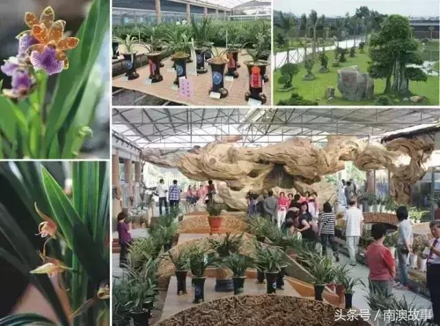 汕头地区有哪些旅游景点,汕头有哪些旅游景点