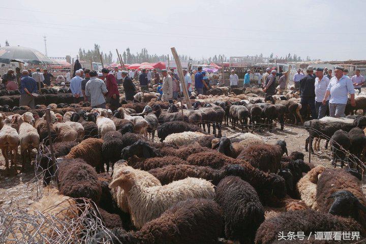 令人大开眼界的车,喀什牛羊大巴扎有意思吗