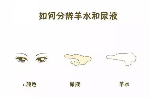 如何区分破水和漏尿,破水还是漏尿用这三招快速区分