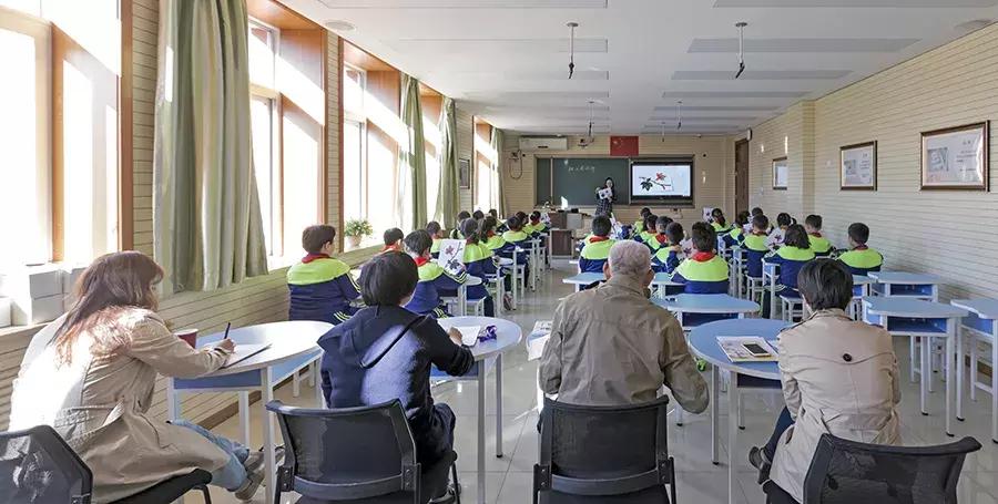 组团帮扶共进步名师引领促成长,精准发力培育教学名师